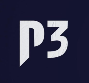 P3 Group